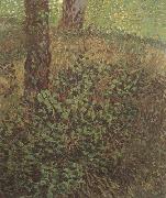 Vincent Van Gogh Undergrowth (nn04) oil painting artist